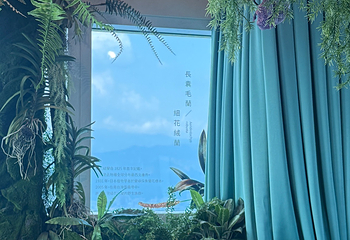 台北101观景台第 93 张图片