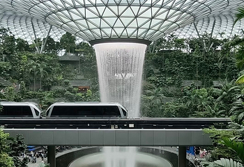 星耀樟宜第 205 张图片