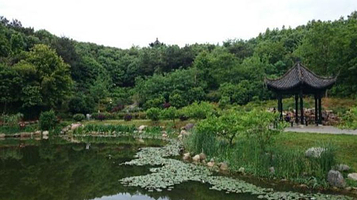 宜丰伴山花鸟公园