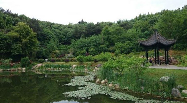 宜丰伴山花鸟公园