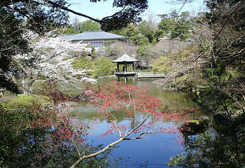 成田山公园第 9 张图片