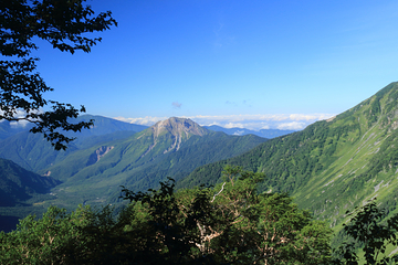 岳沢湿原第 1 张图片