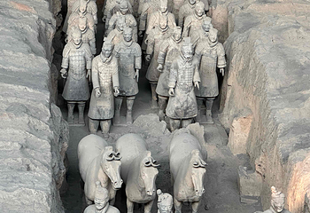秦始皇帝陵博物院(兵马俑)第 172 张图片
