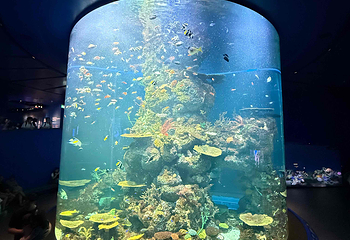 新加坡海洋生态馆第 133 张图片