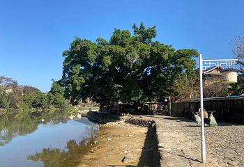 福建土楼(南靖)景区第 18 张图片