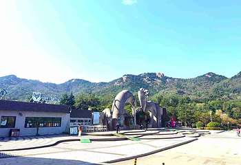 青岛森林野生动物世界第 4 张图片