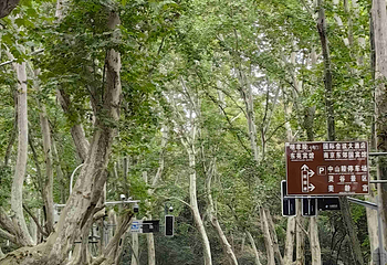 钟山风景名胜区第 127 张图片
