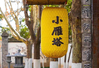小雁塔遗址公园第 48 张图片