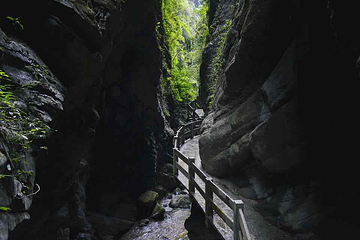 龙水峡地缝第 41 张图片