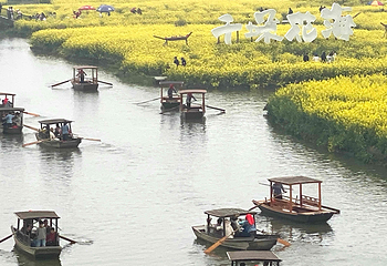 千垛景区第 48 张图片