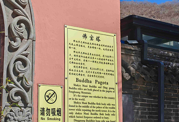 朝阳凤凰山第 26 张图片