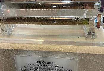 大雁塔第 149 张图片