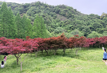 五泄风景区第 38 张图片