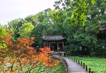 华岩寺第 30 张图片