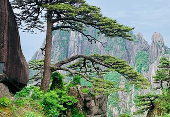 黄山风景区第 131 张图片