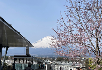 富士山第 96 张图片