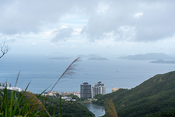 太平山顶第 150 张图片