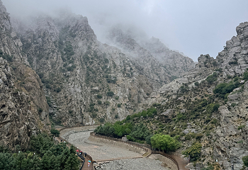 贺兰山岩画第 96 张图片