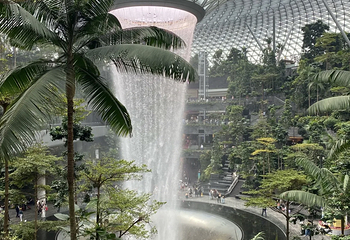 星耀樟宜第 150 张图片