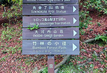 岚山嵯峨野观光小火车第 41 张图片