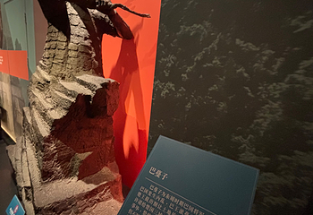 三峡博物馆第 120 张图片