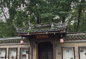 安仁古镇第 187 张图片