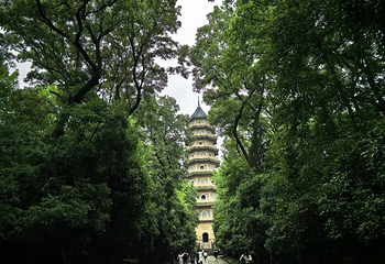 钟山风景名胜区第 160 张图片