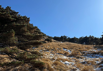 黄山风景区第 247 张图片