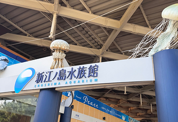 新江之岛水族馆第 30 张图片