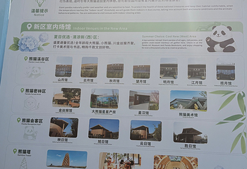 成都大熊猫繁育研究基地第 665 张图片