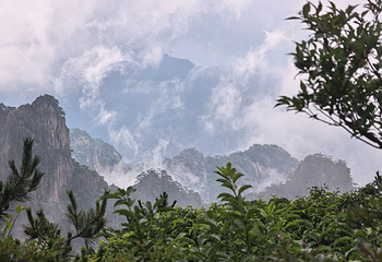 黄山风景区第 67 张图片