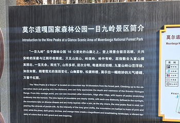 莫尔道嘎国家森林公园第 162 张图片