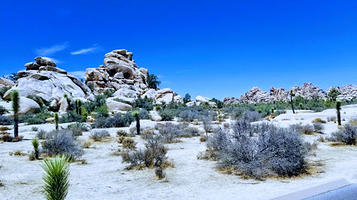 Hidden Valley Nature Trail Trailhead