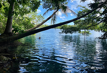 Cenote Azul第 3 张图片
