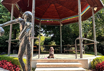 The Angiolina Park - Villa Angiolina第 19 张图片
