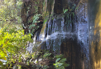 Gordon Falls Lookout第 3 张图片