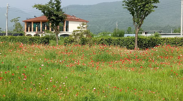 Big Love 草莓农场