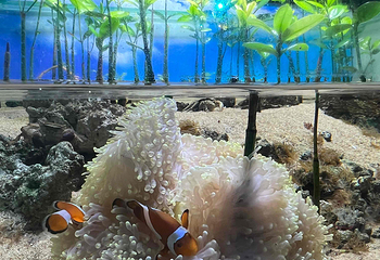 上海海昌海洋公园第 358 张图片