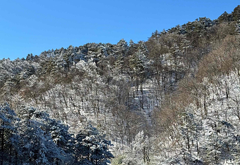 大明山万松岭滑雪场第 37 张图片