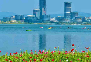 兴隆湖湿地公园第 15 张图片
