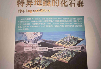 辽宁朝阳鸟化石国家地质公园第 94 张图片