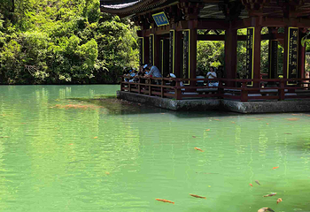 缙云仙都景区第 56 张图片