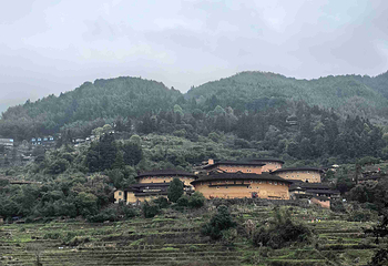田螺坑土楼群第 52 张图片
