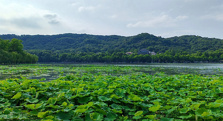 西湖风景名胜区第 153 张图片