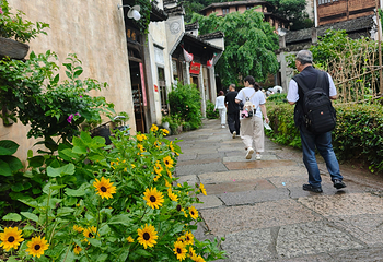 婺源篁岭景区第 342 张图片