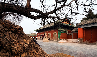 隆兴寺第 37 张图片