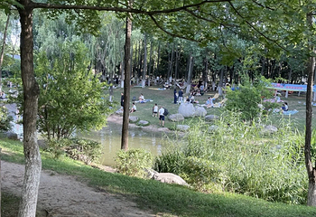 西安世博园第 156 张图片