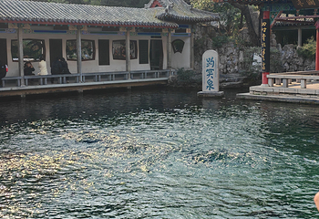 趵突泉景区第 208 张图片