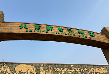 北京野生动物园第 90 张图片