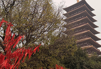 牛首山文化旅游区第 540 张图片